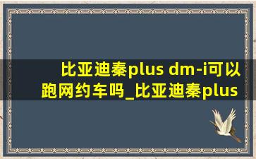 比亚迪秦plus dm-i可以跑网约车吗_比亚迪秦plus dm-i能跑网约车吗